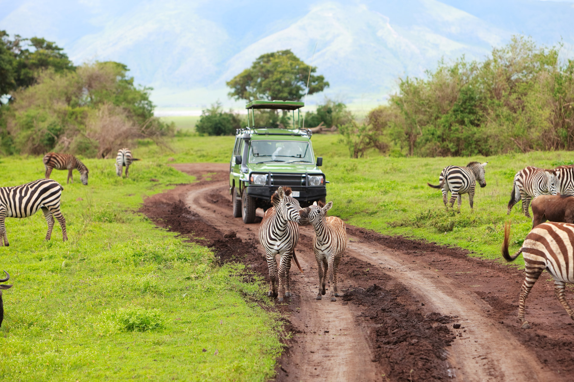 Ngorongoro Conservation Area - Tanzania ett fantastiskt land